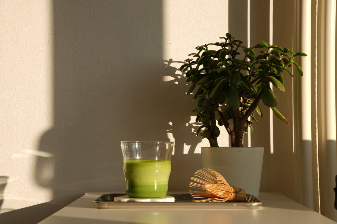 What Is Matcha? A Complete, Honest Guide